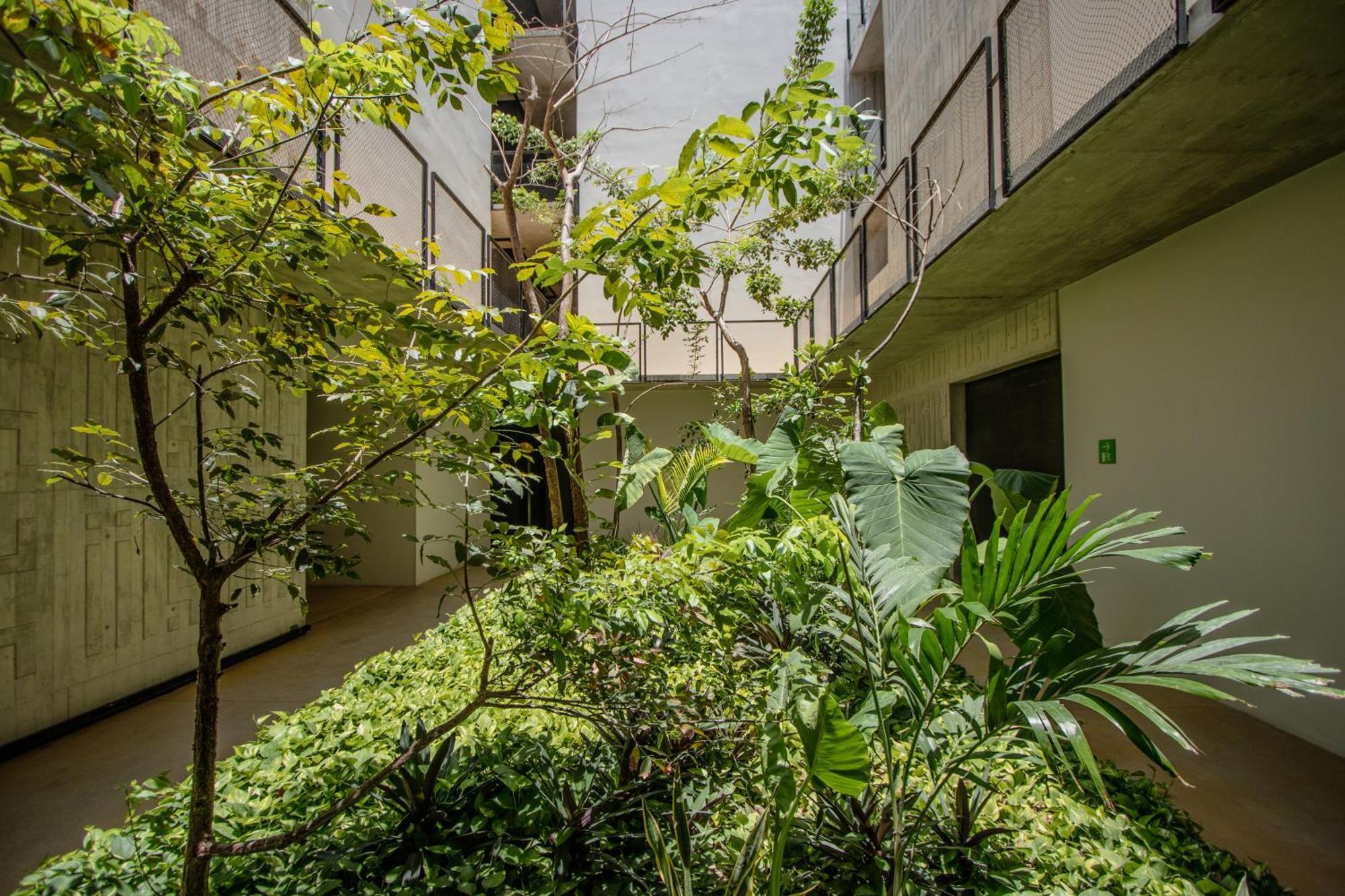 Depto De Lujo Con Plunge Pool Privada Apartment Tulum Ngoại thất bức ảnh
